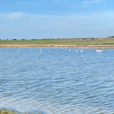 Gasthuis 40° Parallelo 3*