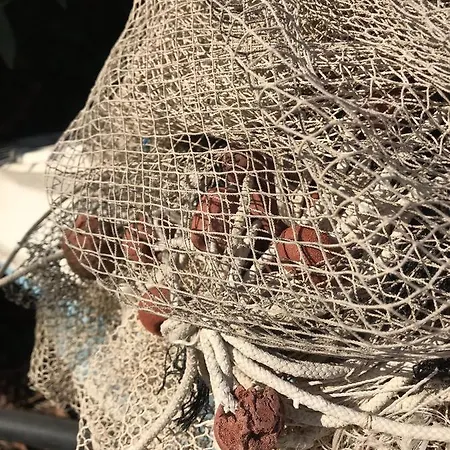 40° Parallelo Gasthuis