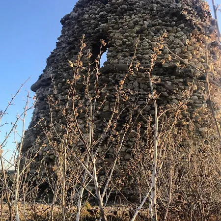 40° Parallelo Riola Sardo