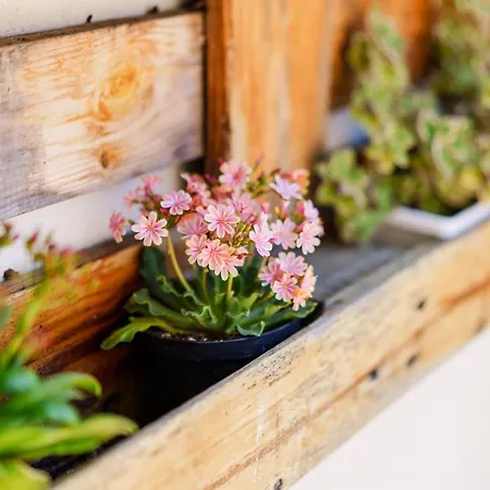 Гостевой дом 40° Parallelo Риола-Сардо