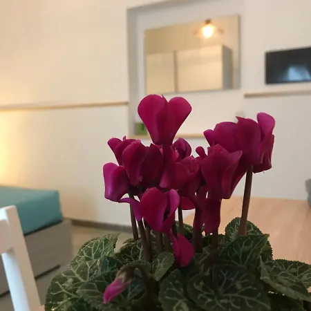 40° Parallelo Riola Sardo